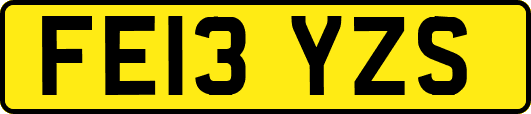 FE13YZS