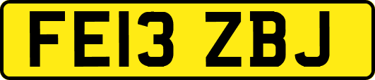 FE13ZBJ