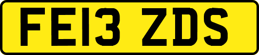 FE13ZDS