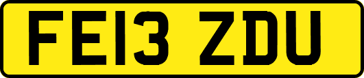FE13ZDU