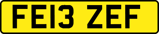 FE13ZEF