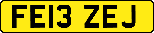 FE13ZEJ