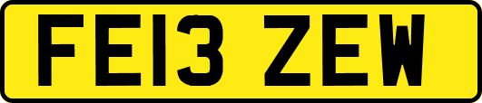 FE13ZEW