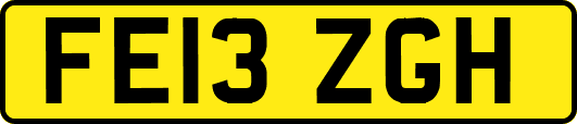 FE13ZGH