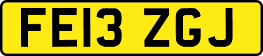 FE13ZGJ