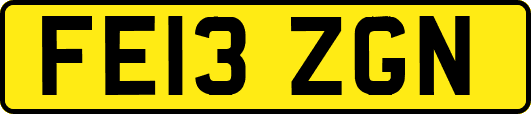 FE13ZGN