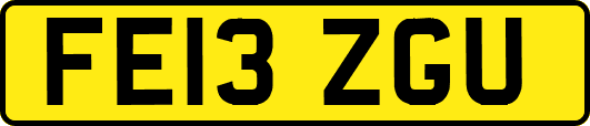 FE13ZGU