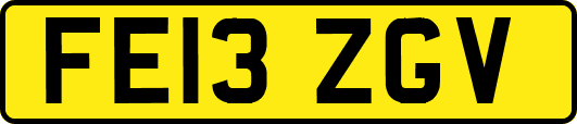 FE13ZGV