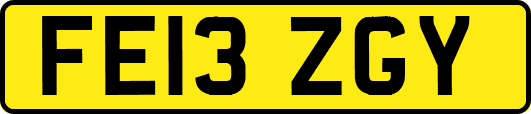 FE13ZGY