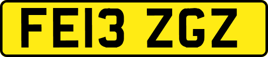 FE13ZGZ