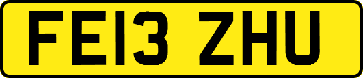FE13ZHU