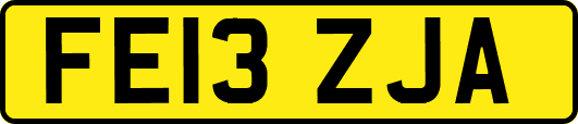 FE13ZJA