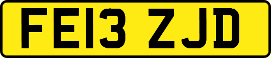 FE13ZJD
