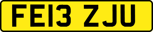 FE13ZJU