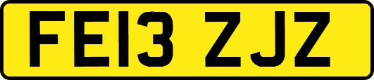 FE13ZJZ