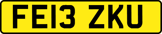 FE13ZKU