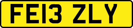 FE13ZLY