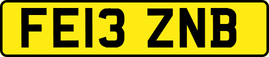 FE13ZNB