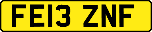 FE13ZNF