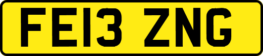 FE13ZNG