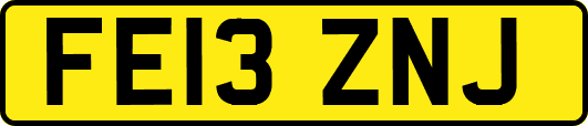 FE13ZNJ