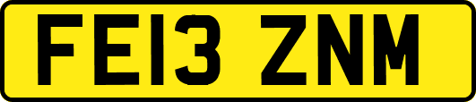 FE13ZNM