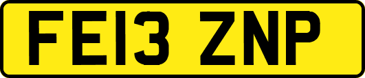 FE13ZNP