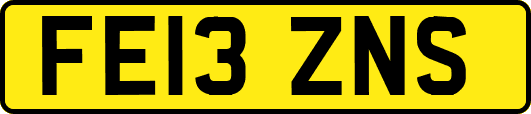 FE13ZNS