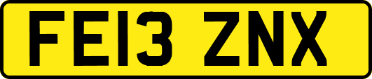 FE13ZNX