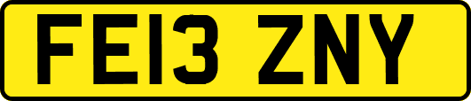 FE13ZNY