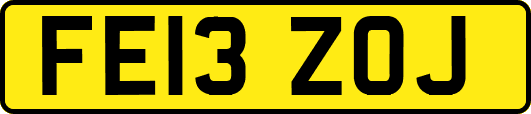 FE13ZOJ