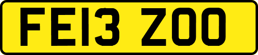 FE13ZOO