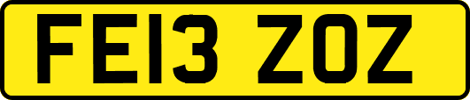 FE13ZOZ