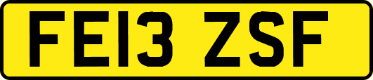 FE13ZSF
