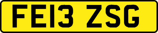 FE13ZSG