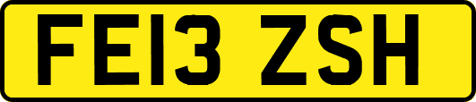 FE13ZSH