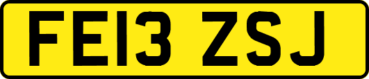 FE13ZSJ
