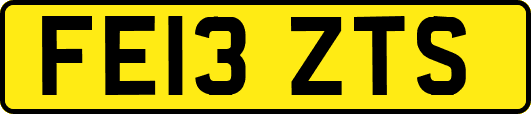 FE13ZTS