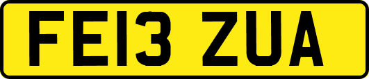 FE13ZUA