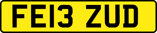 FE13ZUD
