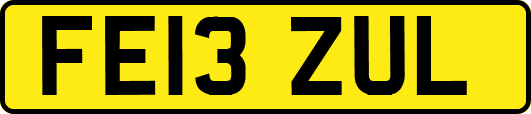 FE13ZUL