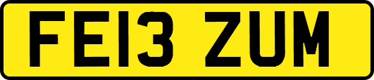 FE13ZUM