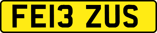 FE13ZUS