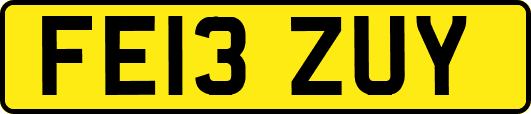 FE13ZUY