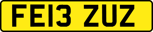 FE13ZUZ