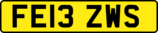 FE13ZWS