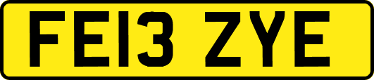 FE13ZYE