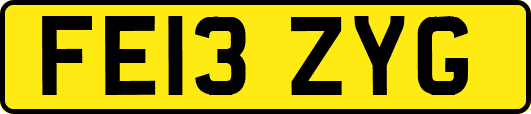 FE13ZYG