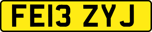 FE13ZYJ