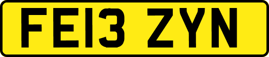FE13ZYN